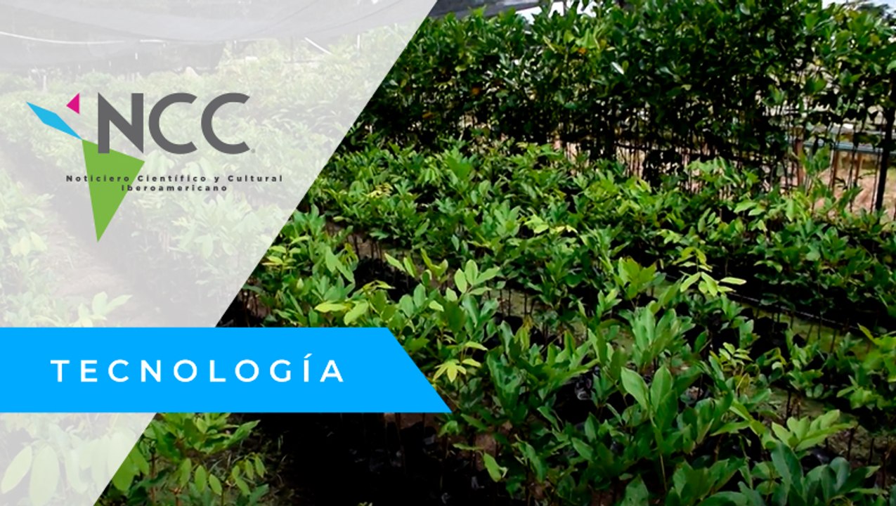 Un vivero en México, produce más de 2 millones de arbustos de forma orgánica