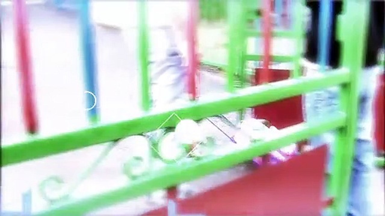 LE JOURNAL DE LA QUOTIDIENNE : Le journal du mercredi 24 mars 2021