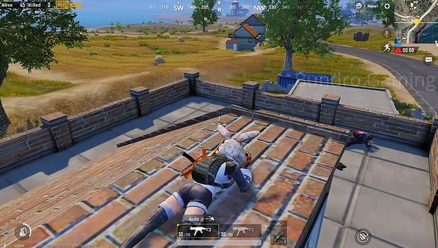 The Bait Trolling Noobs in PUBG MOBILE