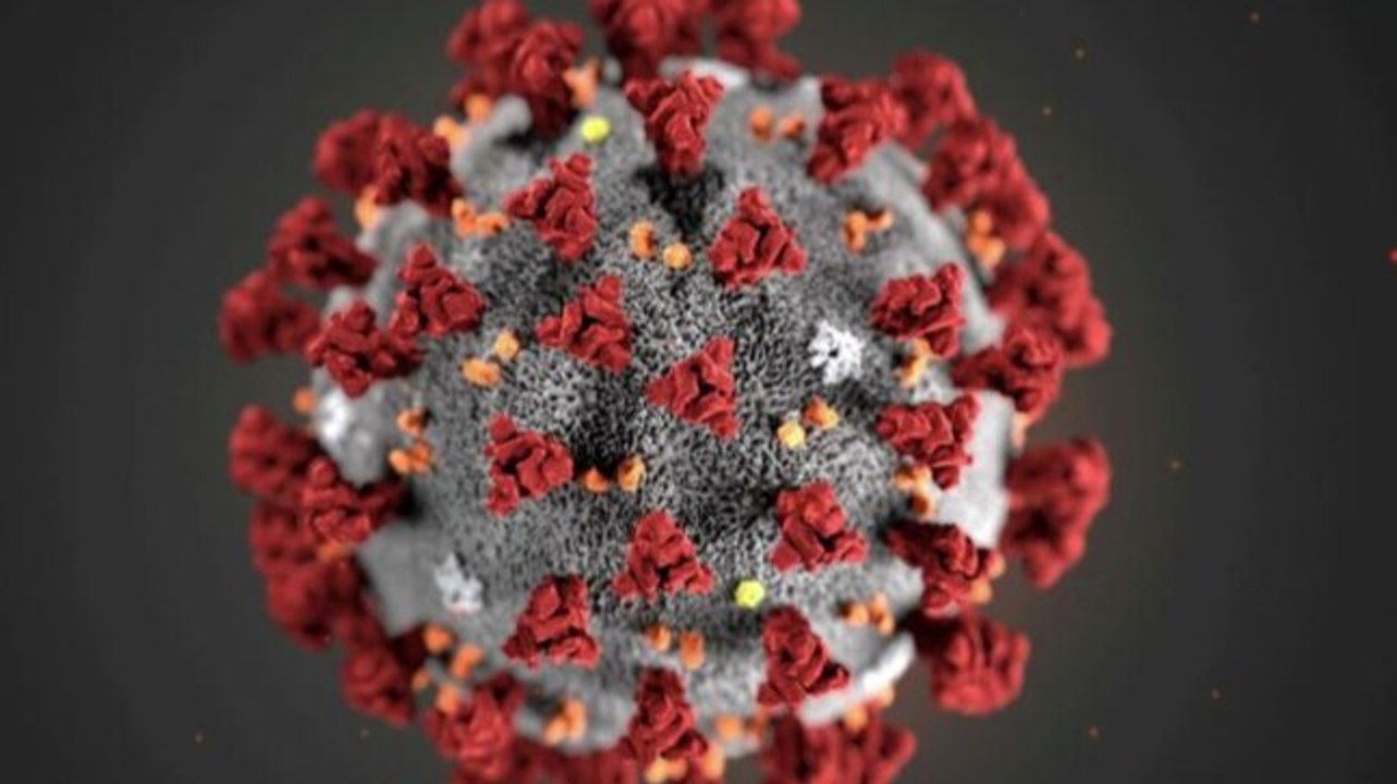 Double mutant Covid variant: Will existing vaccines work on new variants?