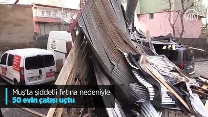 Muş'ta şiddetli fırtına nedeniyle 50 evin çatısı uçtu