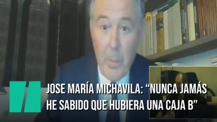 Jose María Michavila: "Nunca jamás he sabido que hubiera una caja B en el Partido Popular".