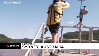 Pet emu rescued from flooding in Sydney