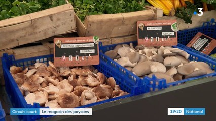 Vendée : un magasin en circuit-court vend les produits des paysans du coin