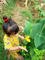 picking flower is fun