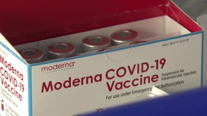 "미국서 화이자·모더나 백신 효과 확인"...유럽 곳곳 봉쇄 강화 / YTN