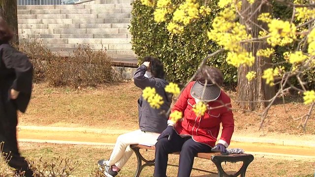 [날씨] 전국 맑고 따뜻, 서울 19℃...동해안 대기 건조 / YTN