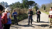 DOM.24-3-19- ESCURSIONE IN TRAVERSATA DELLA CRESTA DELL' ARTEMISIO NELLA ZONA DEI CASTELLI ROMANI.