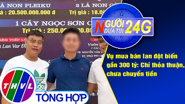 Người đưa tin 24G (18g30 ngày 24/3/2021) - Giao dịch hoa lan 250 tỉ mới thỏa thuận, chưa chuyển tiền
