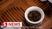Take a sip of China's Fujian tea