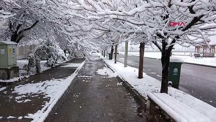 Erzincan'da mart karı; 239 köyün yolunu kapandı