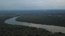 Kolombiya Amazonları'ndaki biyoçeşitlilik