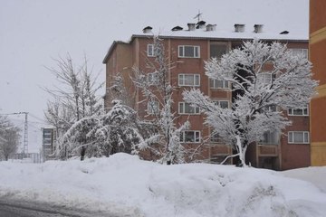 Bitlis'te 47 köy yolu, kardan kapandı