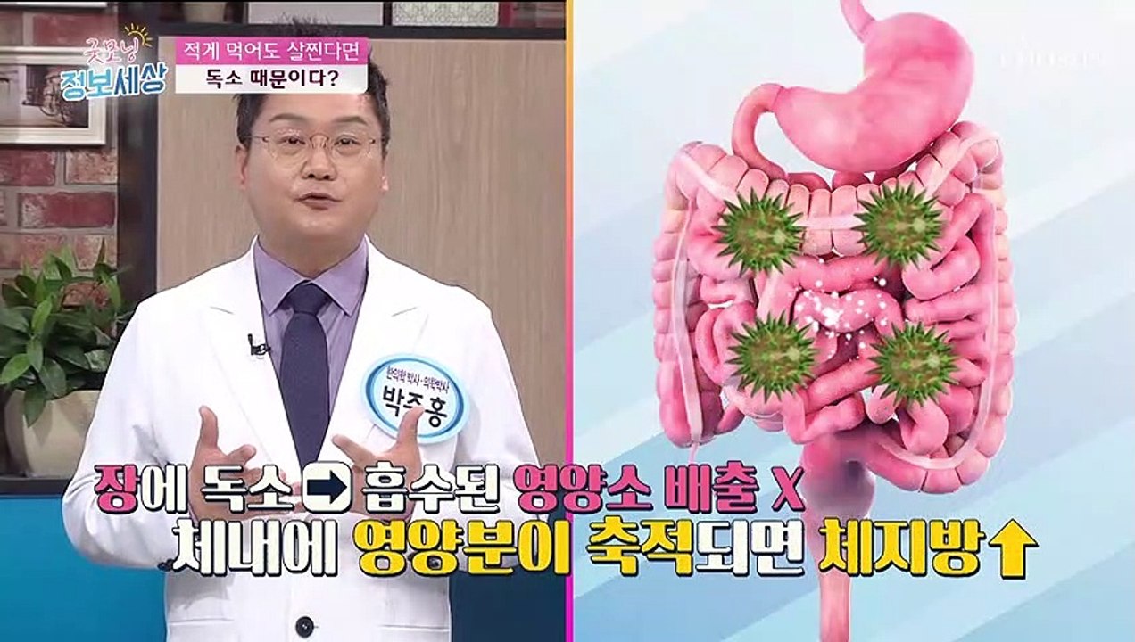 적게 먹어도 살찐다면 독소 때문이다⊙⊙?! TV CHOSUN 2103225 방송