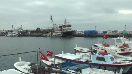 Marmara'daki "deniz salyası" tezgahlardaki balık fiyatlarını yükseltiyor
