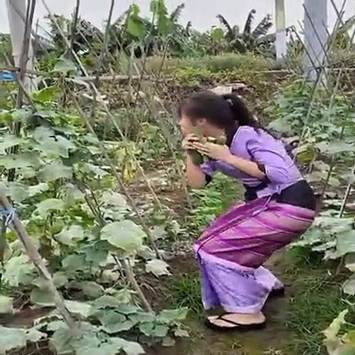 FUNNY VIDEOS