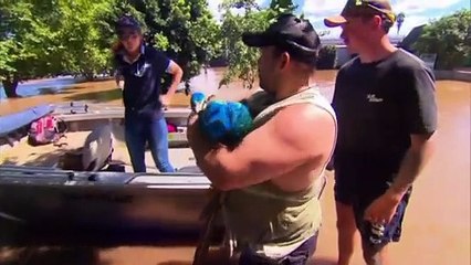 Пауки бегут от наводнения к людям