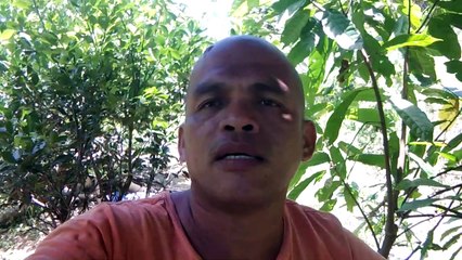 232.63 My First Pay Out "YES"