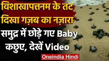 Visakhapatnam में 350 Baby Turtles को समुद्र में छोड़ा गया, देखें Video । वनइंडिया हिंदी