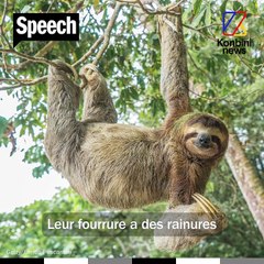 4 idées reçues sur les animaux | Le Speech de la zoologiste Lucy Cooke