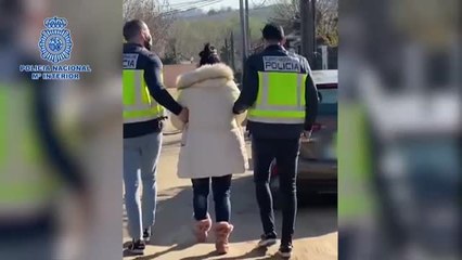 Télécharger la video: Detenida una mujer por inducir a cuatro menores a robar varios perros de raza