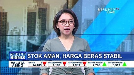 Stok Beras Diperkirakan Masih Cukup Sampai Lebaran, Harga Terbilang Stabil