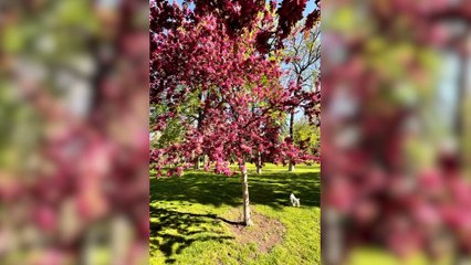 Nagore Robles emocionada con la despedida de su programa estrella