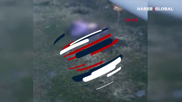 Hamile kadın yol kenarında ölü bulundu, kardeşi gözaltına alındı