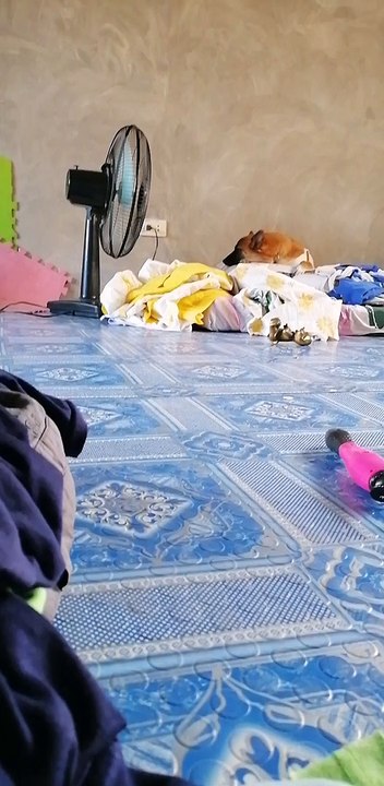 Maxies sleeping time