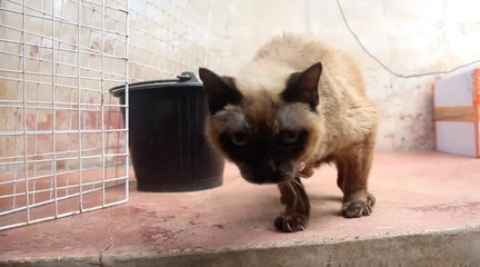 เรื่องพลบค่ำ ช่วงที่ 2 วันพฤหัสบดีที่ 25 มี.ค.64