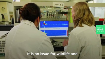 Scientists are using 'electronic noses' to sniff out Australia's illegal wildlife trade