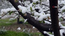 Turgutlu’da kar yağışı etkili oluyor.. Çiçek açan ağaçlar kar altında kaldı