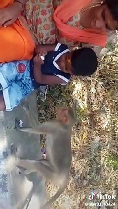 monkey making funny