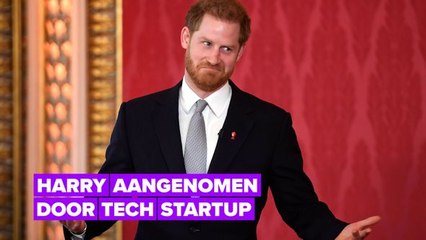 Alles wat we weten over Harry's eerste baan in het bedrijfsleven