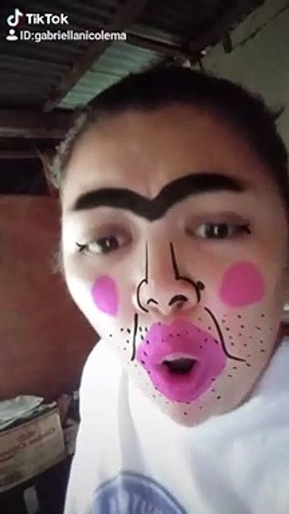 tiktok parody