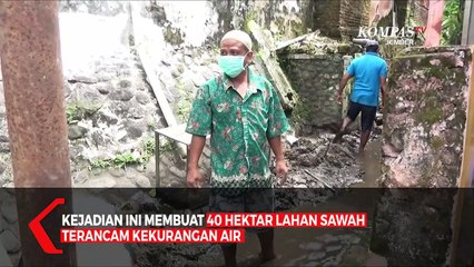 Bendungan Irigasi Ambrol, Puluhan Hektar Sawah Terancam Kekurangan Air
