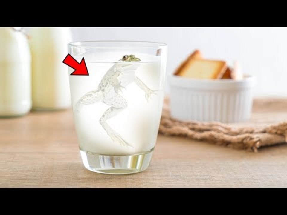 5 Alat Aneh yang Dimiliki Manusia Jaman Dulu Sebelum Hadirnya Teknologi!