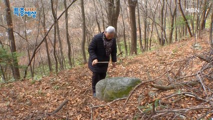 이상한 손짓 발짓이 수련?