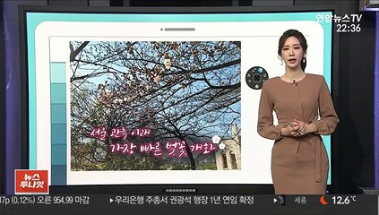 [날씨클릭] 계절 앞서는 봄날씨…짙은 안개 주의
