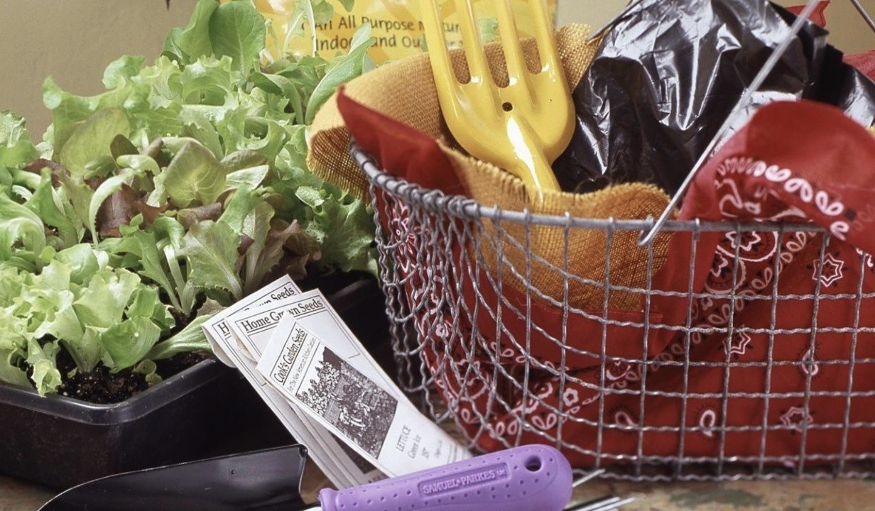 Beginner's Guide To Common Gardening Terms