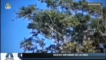 Último informe de la ONU sobre pistas clandestinas en el Zulia - Ahora en Vivo