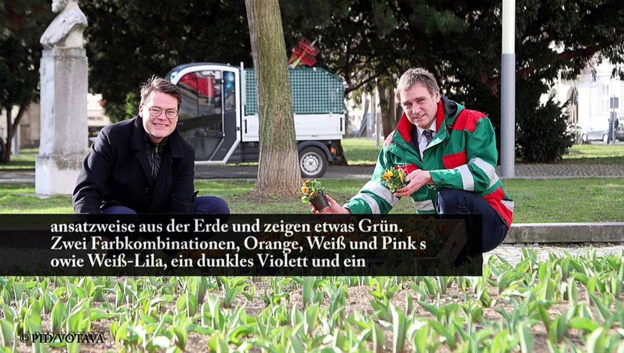 Die Wiener Stadtgärten starten in die neue Saison