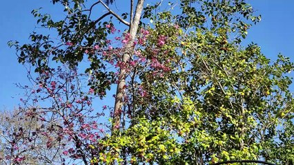 Brief Thoughts on &apos;To Bear&apos;