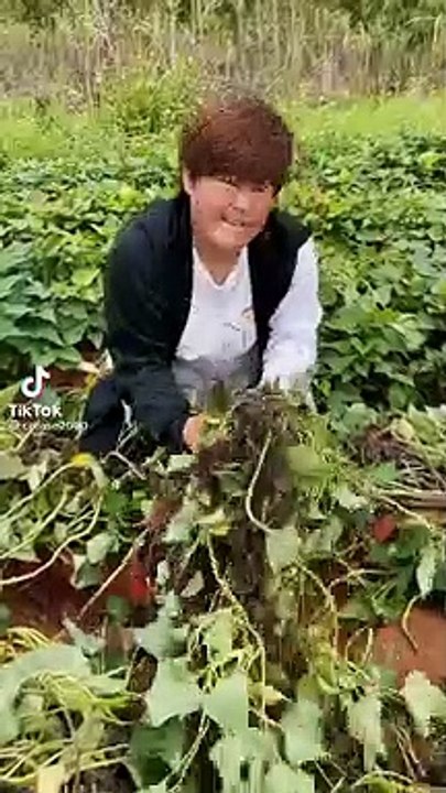 vegetables