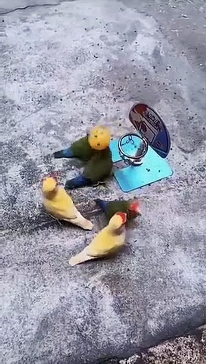 Playing
