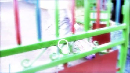 LE JOURNAL DE LA QUOTIDIENNE : Le journal du jeudi 25 mars 2021