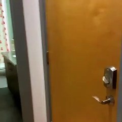 Cute dog proposals