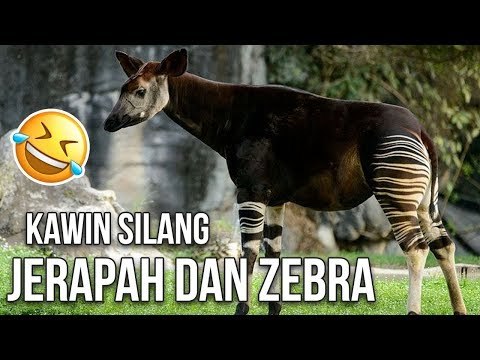 5 HEWAN PALING ANEH YANG PERNAH HIDUP DI BUMI