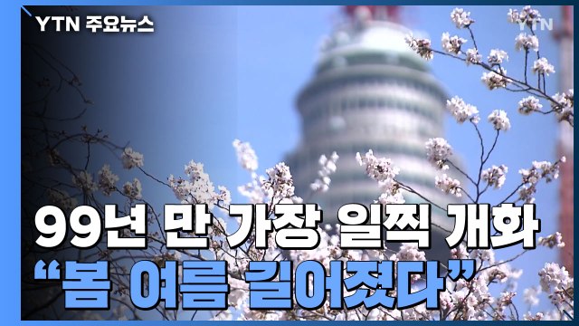 서울 벚꽃, 99년 만에 가장 일찍 개화... 봄·여름 길어졌다 / YTN