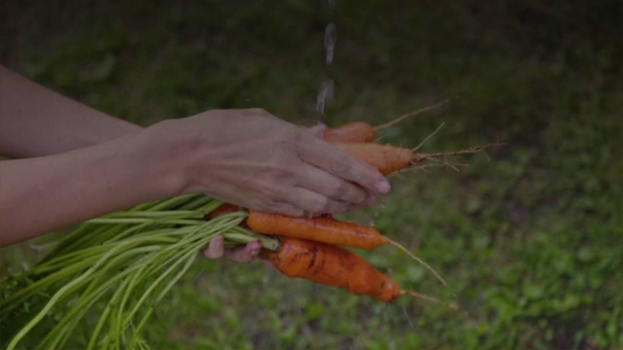 Smart Tips to Plan Your First Edible Garden